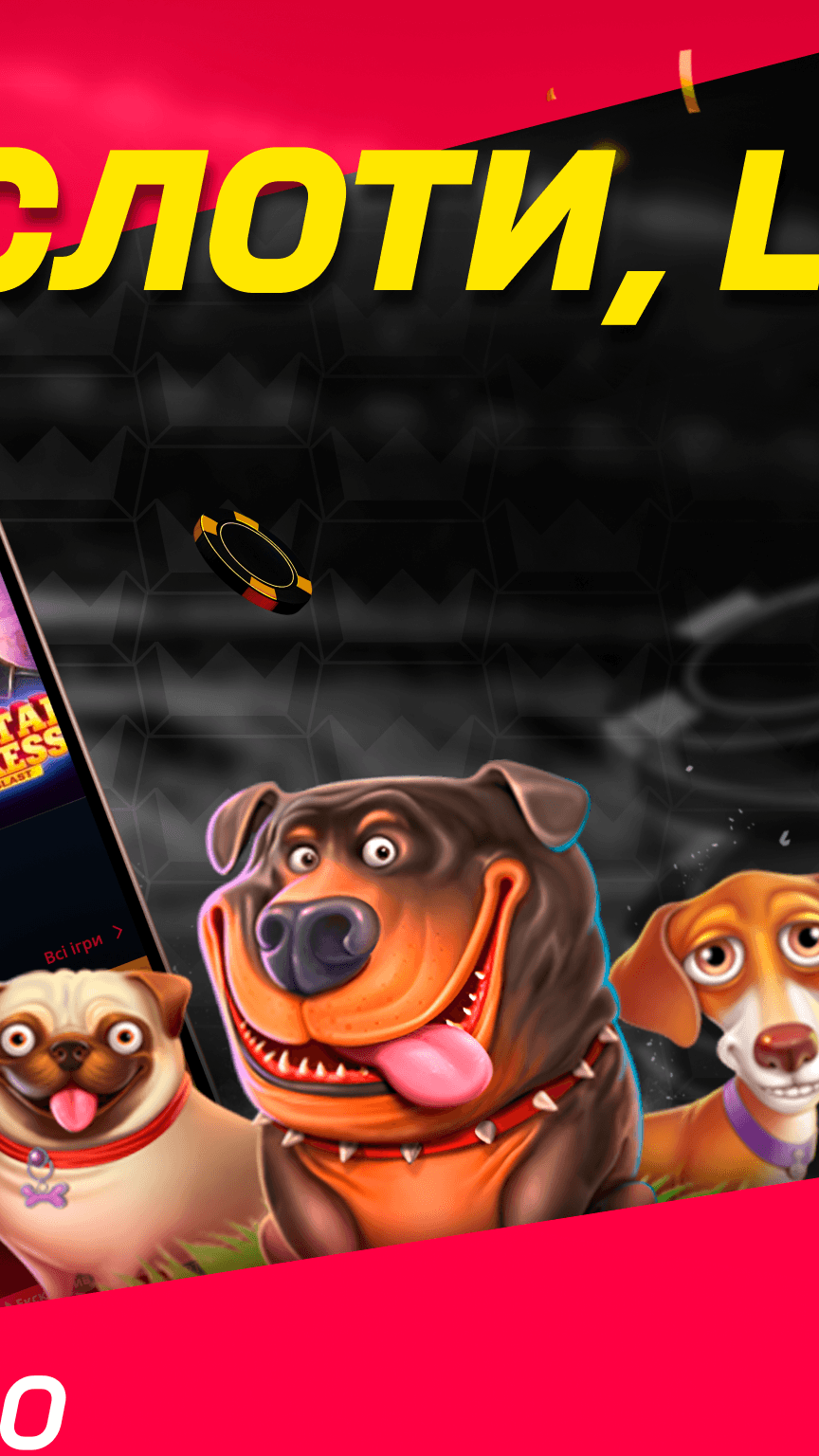 BetKing Screenshot